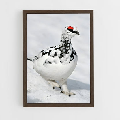 ap-ptarmigan-1 cadre Bois foncé