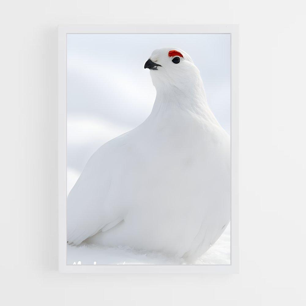 ap-ptarmigan-2 cadre Blanc