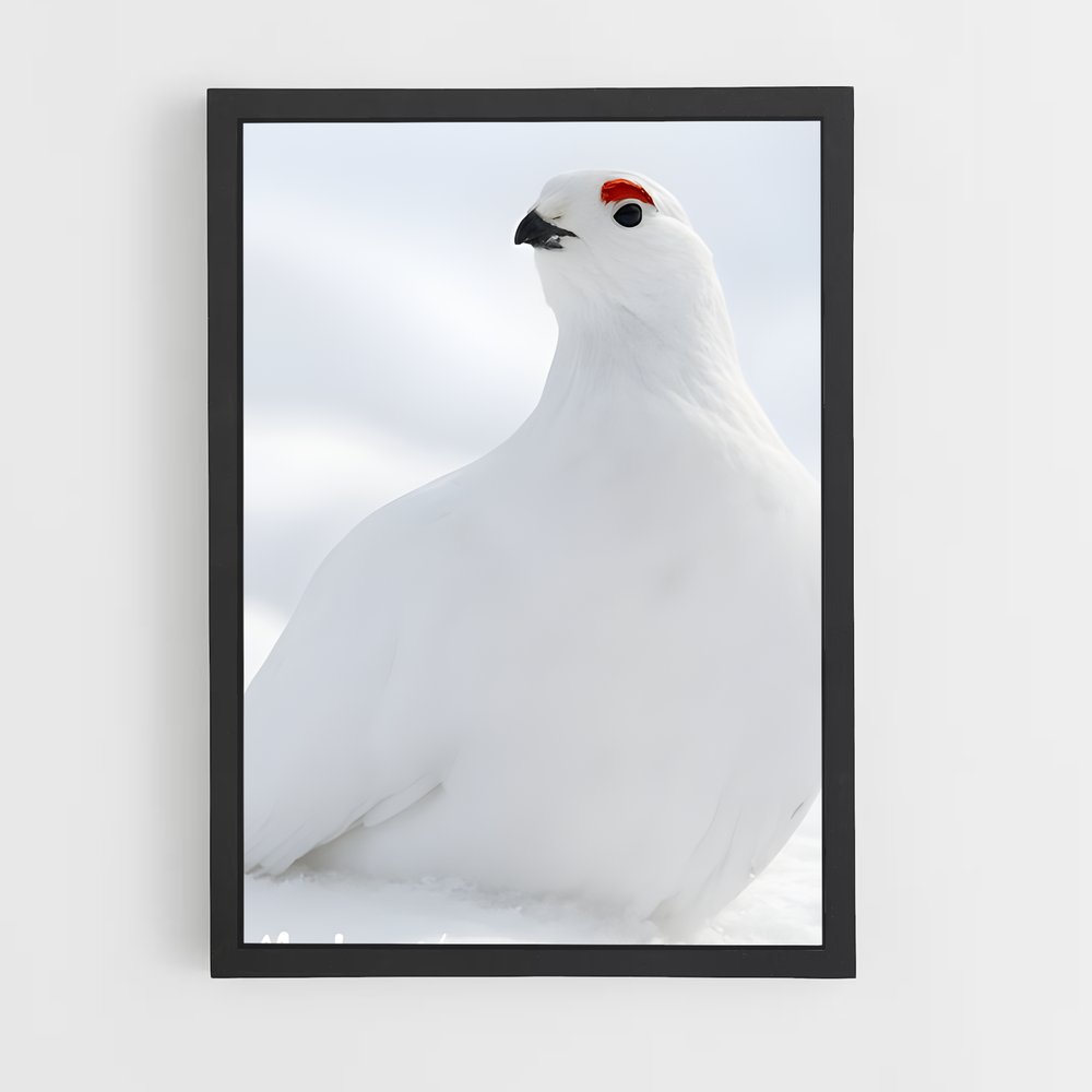 ap-ptarmigan-2 cadre Noir