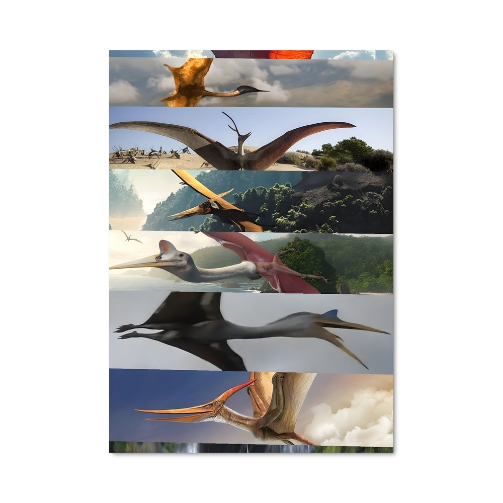 Poster Vol Montagnard