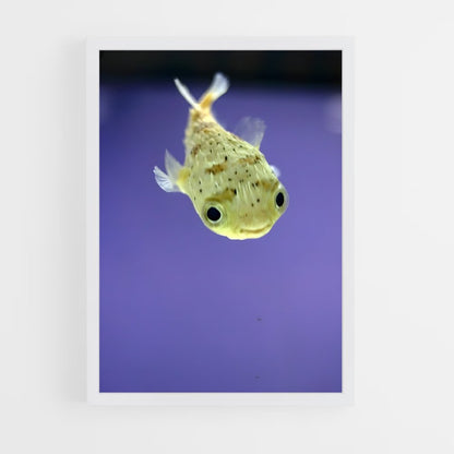 ap-pufferfish-2 cadre Blanc