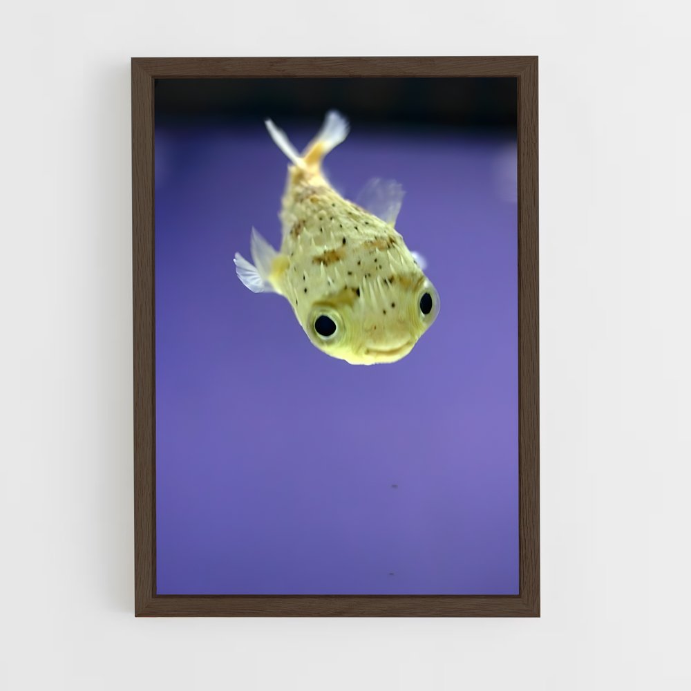 ap-pufferfish-2 cadre Bois foncé