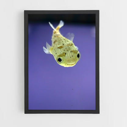 ap-pufferfish-2 cadre Noir