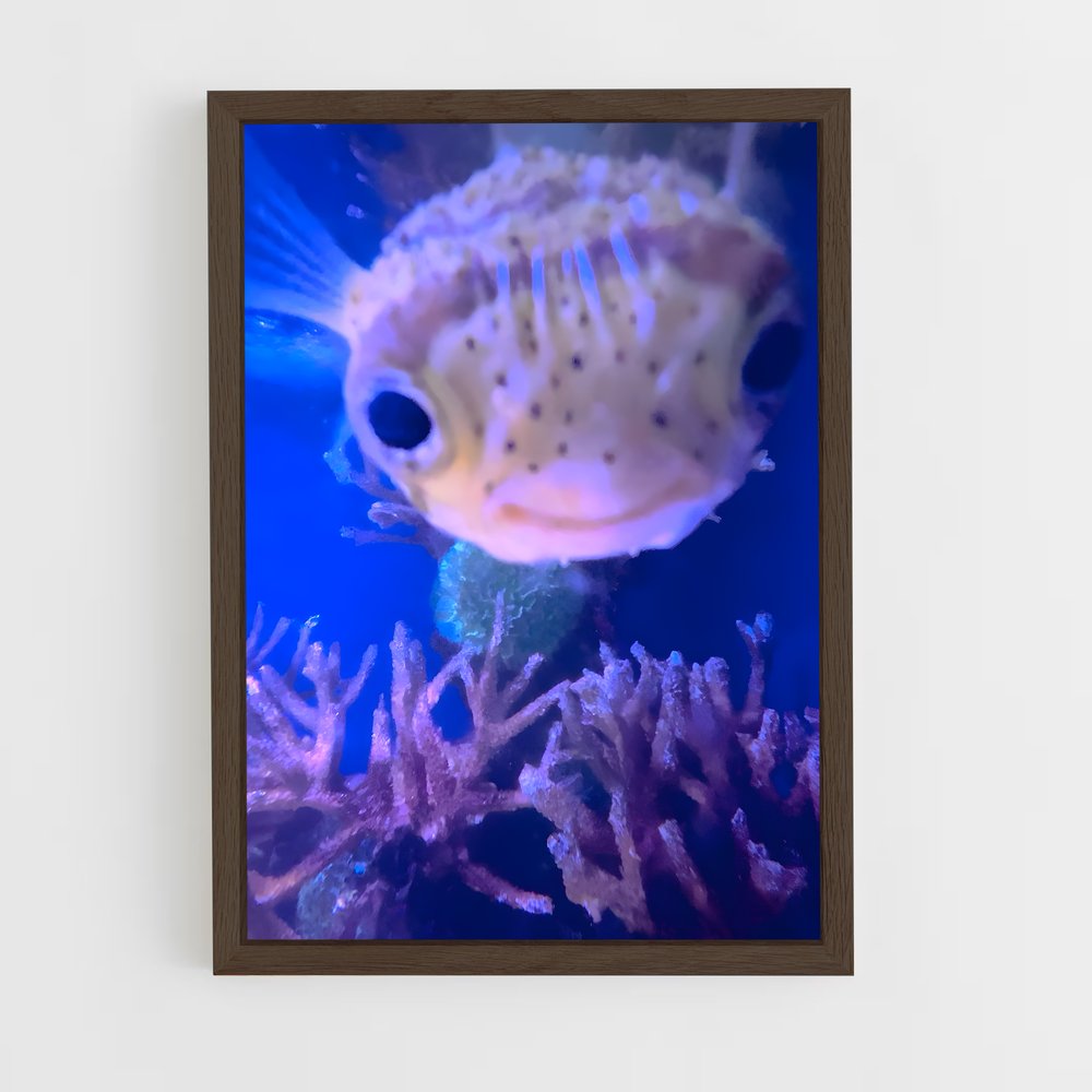 ap-pufferfish-3 cadre Bois foncé