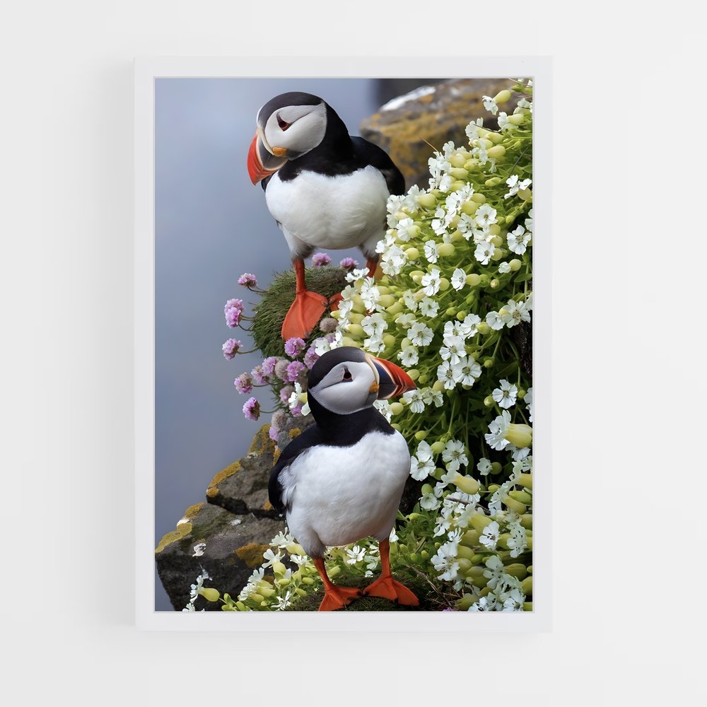 ap-puffin-2 cadre Blanc
