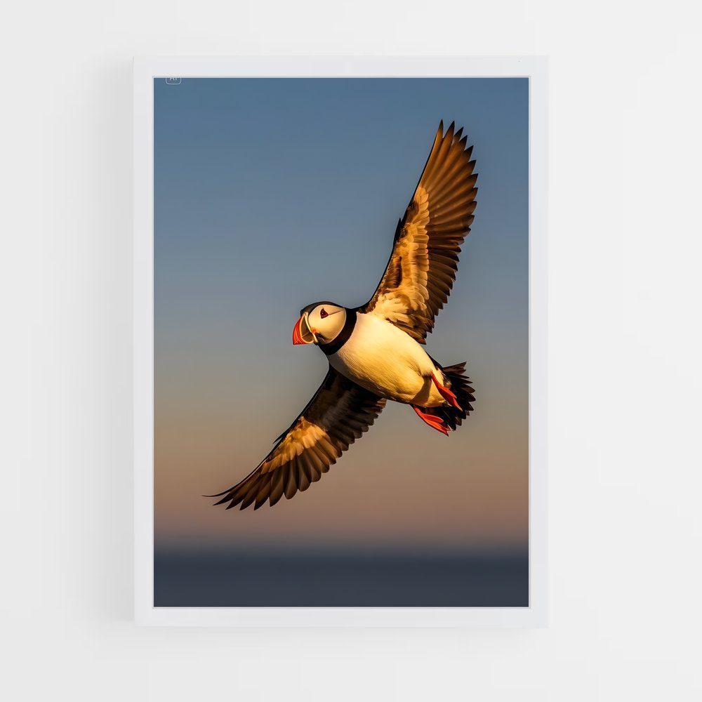 ap-puffin-4 cadre Blanc