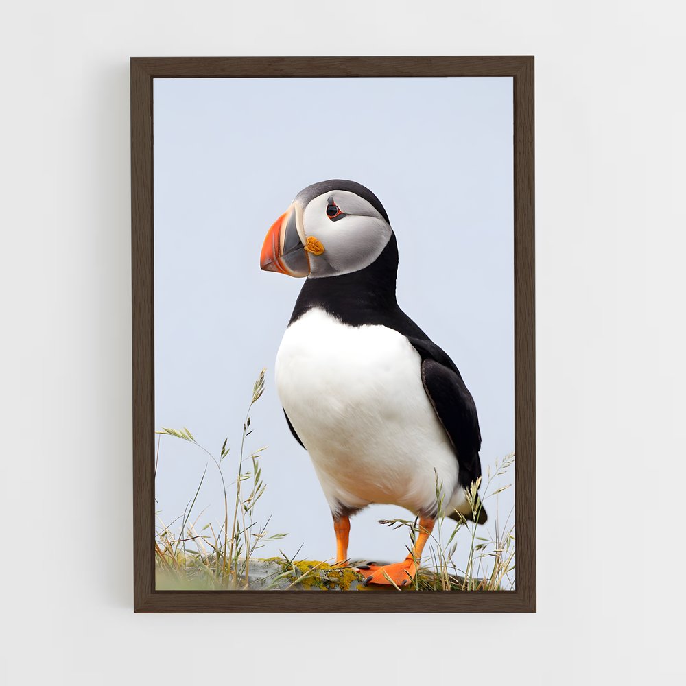 ap-puffin-6 cadre Bois foncé