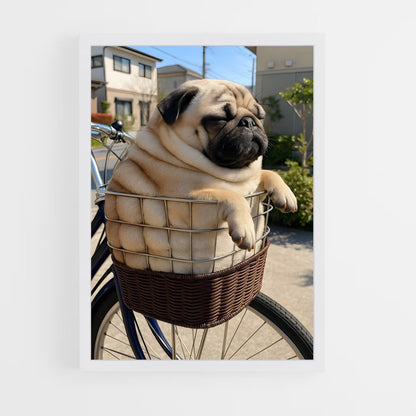 ap-pug-2 cadre Blanc