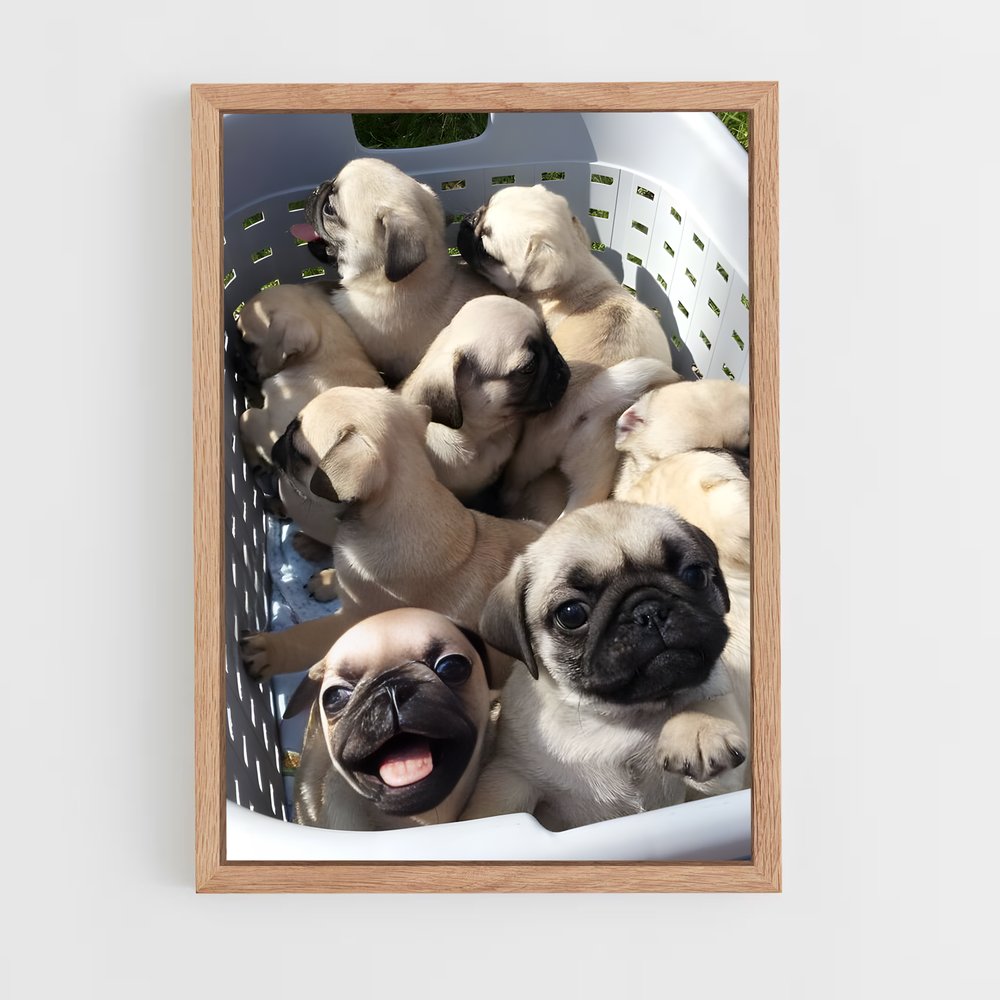 ap-pug-3 cadre Bois clair