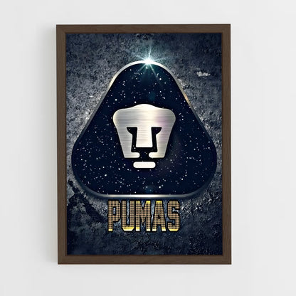 ap-pumas unam-2 cadre Bois foncé