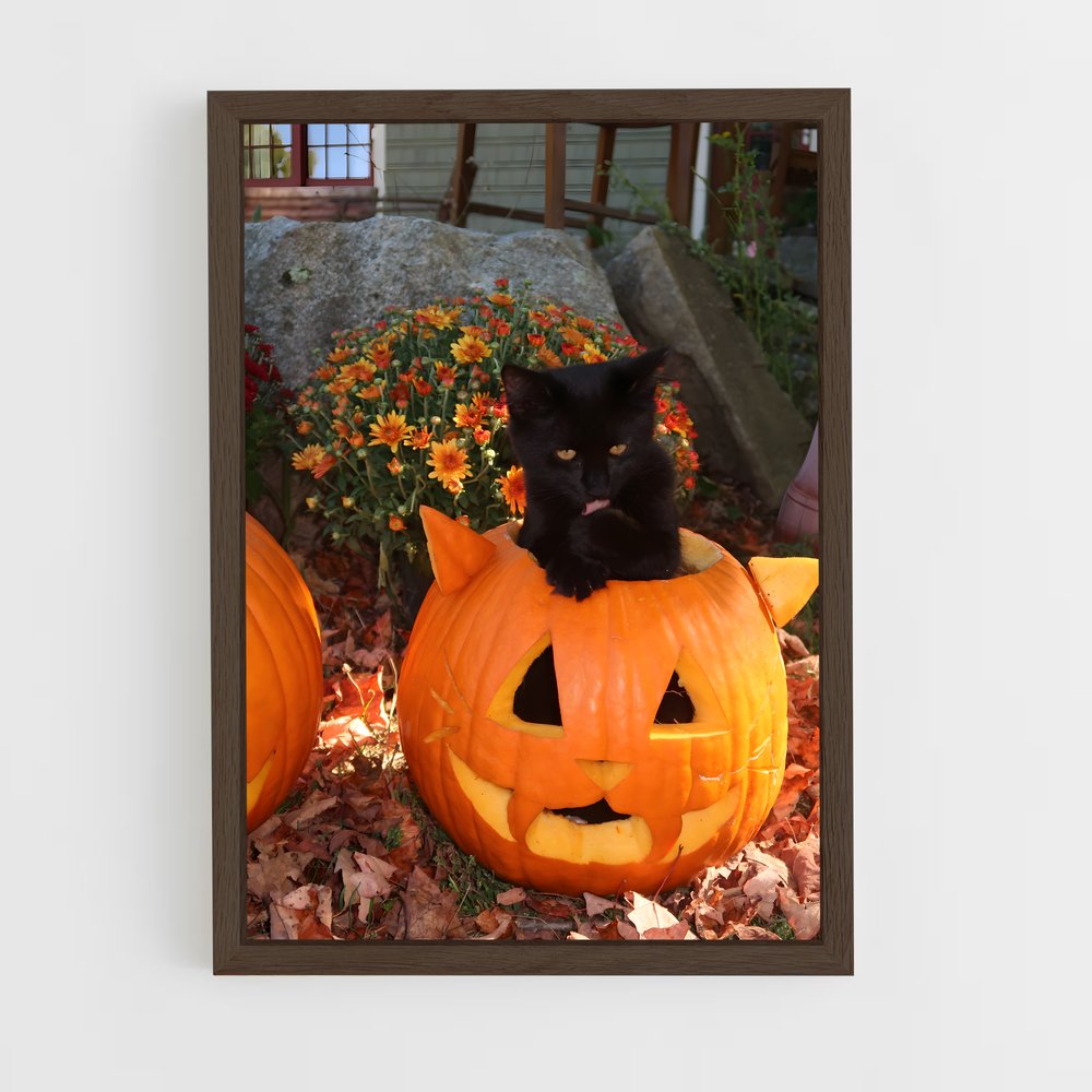 ap-pumpkin-4 cadre Bois foncé