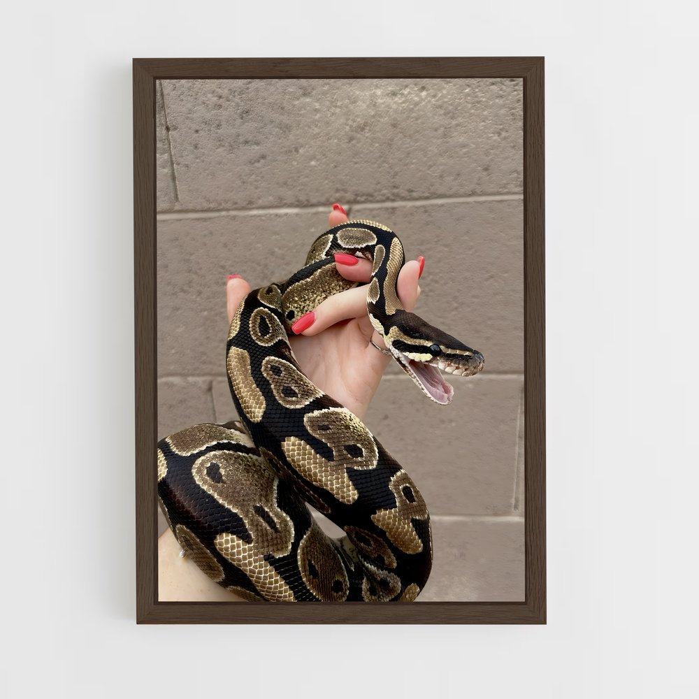 ap-python-3 cadre Bois foncé