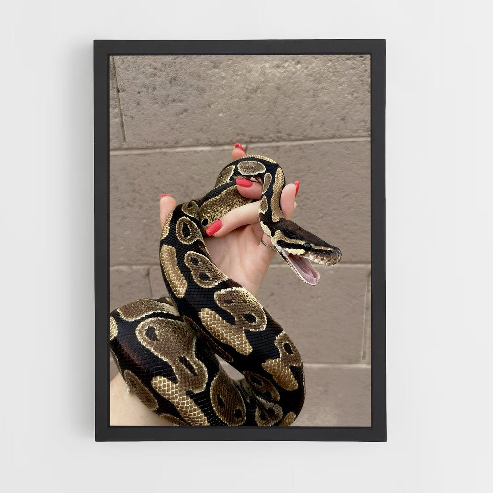 ap-python-3 cadre Noir