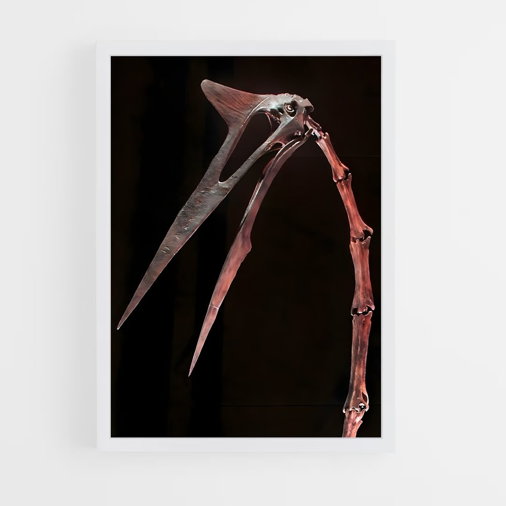 ap-quetzalcoatlus-5 cadre Blanc
