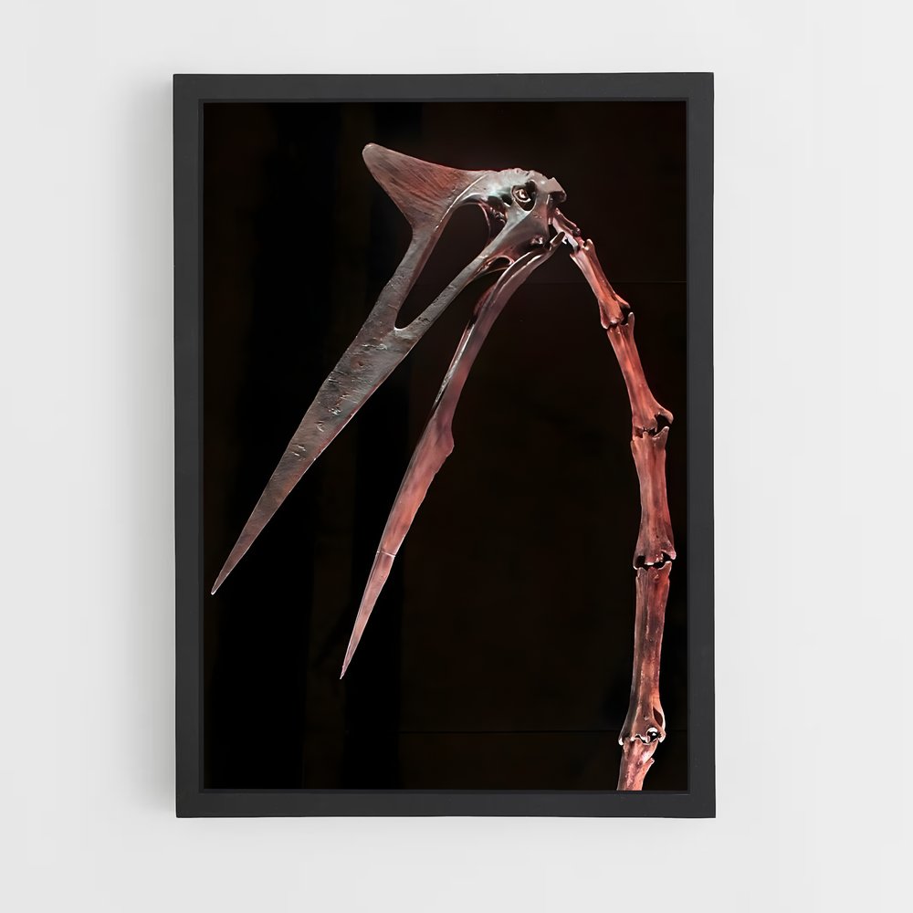 ap-quetzalcoatlus-5 cadre Noir