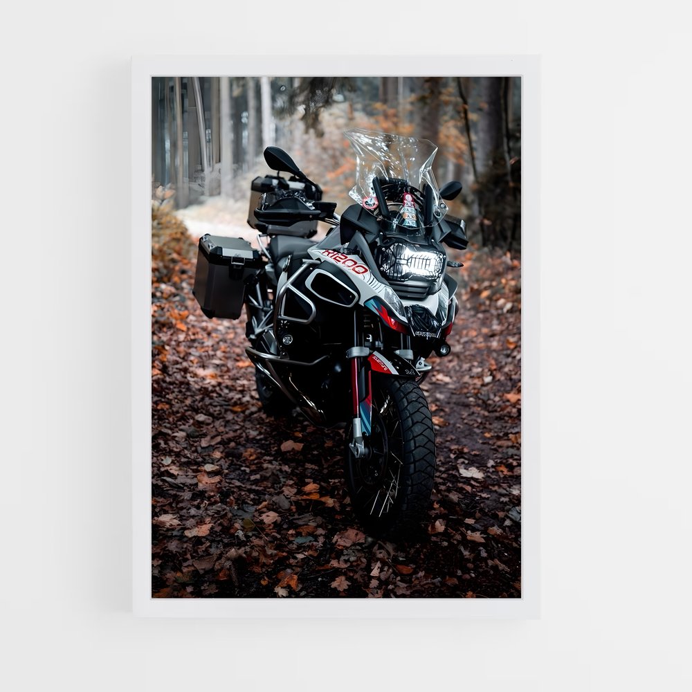 ap-r 1200 gs-1 cadre Blanc