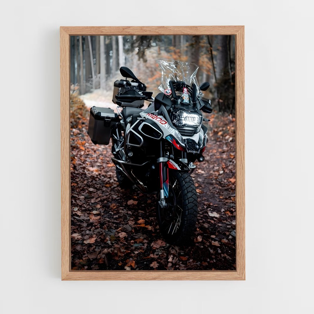 ap-r 1200 gs-1 cadre Bois clair