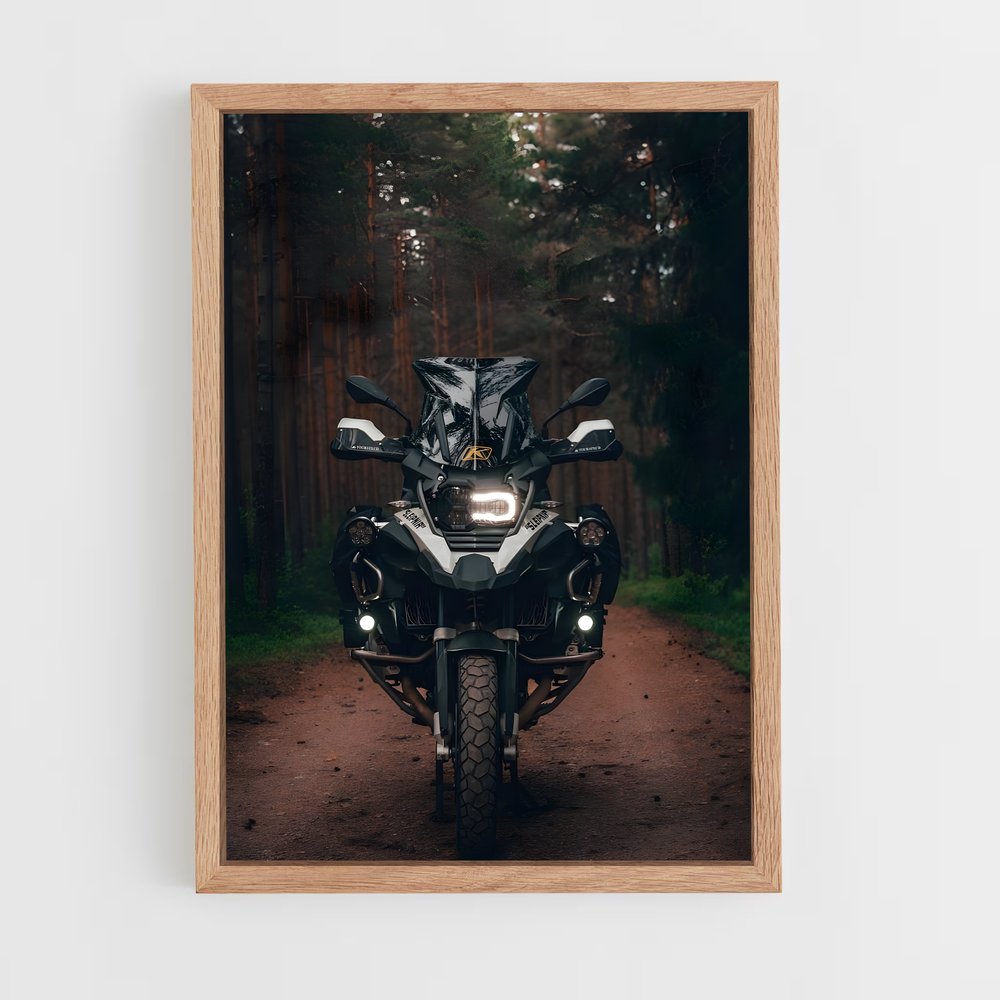 ap-r 1200 gs-2 cadre Bois clair