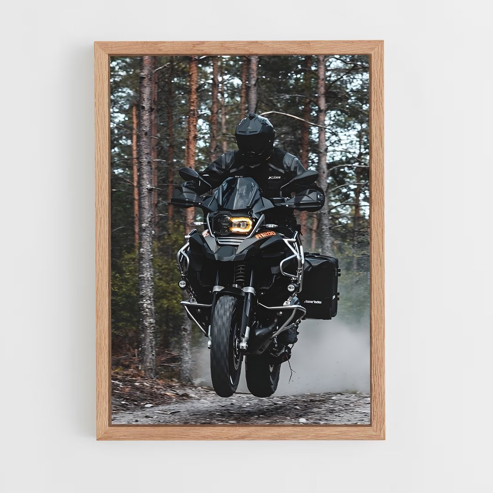ap-r 1250 gs-3 cadre Bois clair