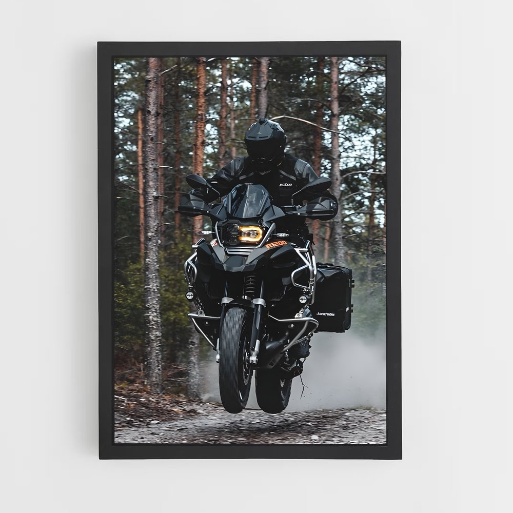 ap-r 1250 gs-3 cadre Noir