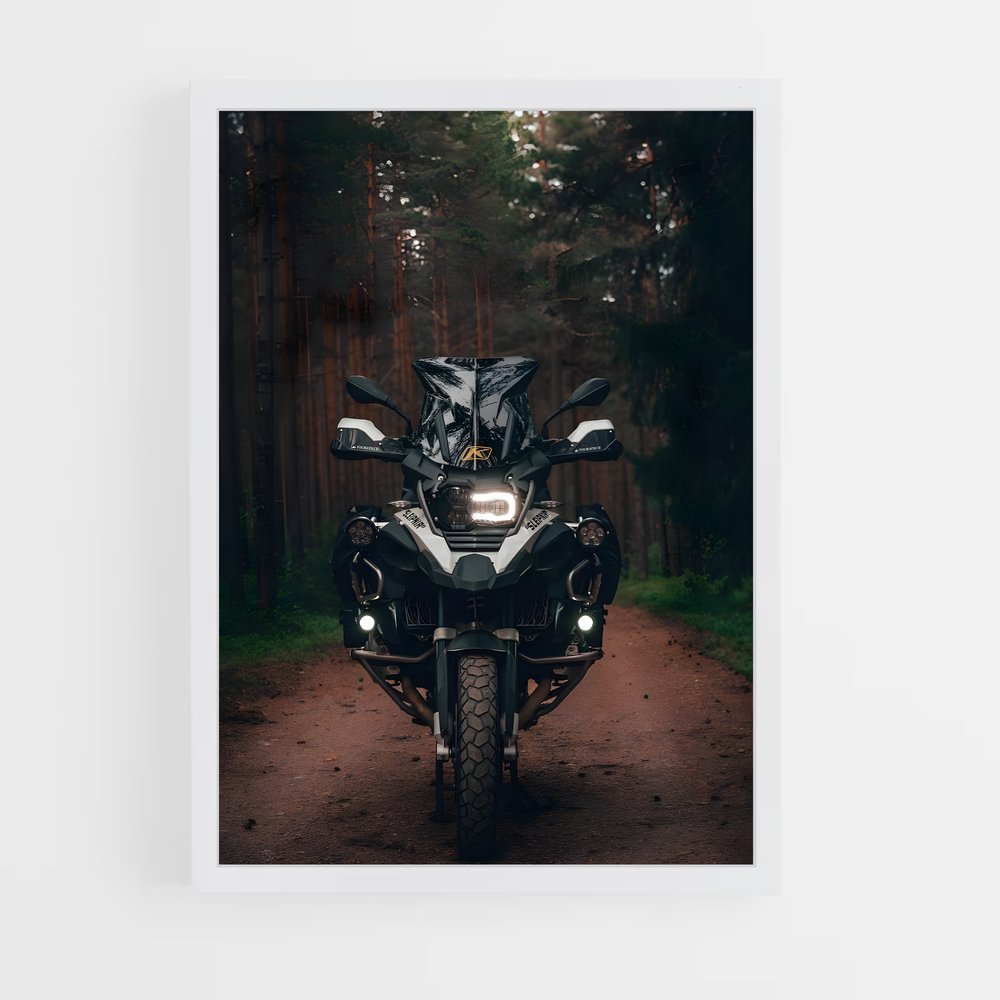 ap-r 1250 gs adventure-1 cadre Blanc