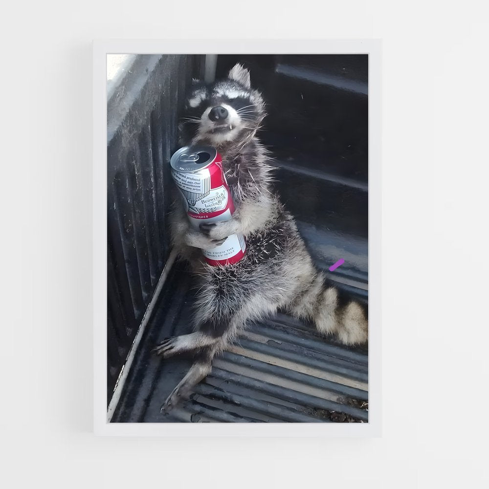 ap-raccoon-1 cadre Blanc