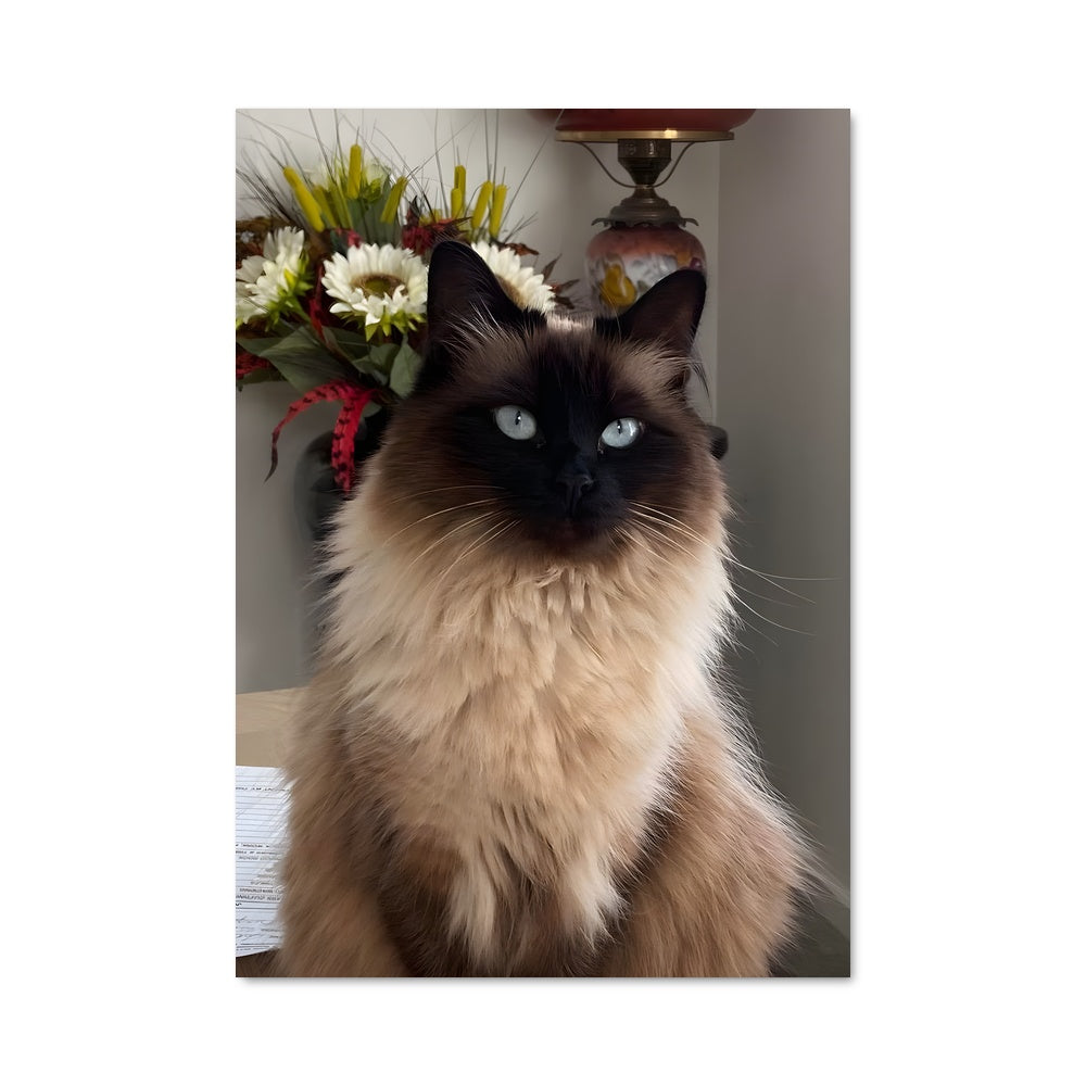 Poster Regards Célestes