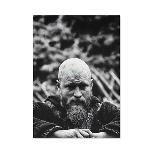 Poster L'Héritier Viking
