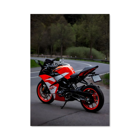 Poster Route du Rugissement