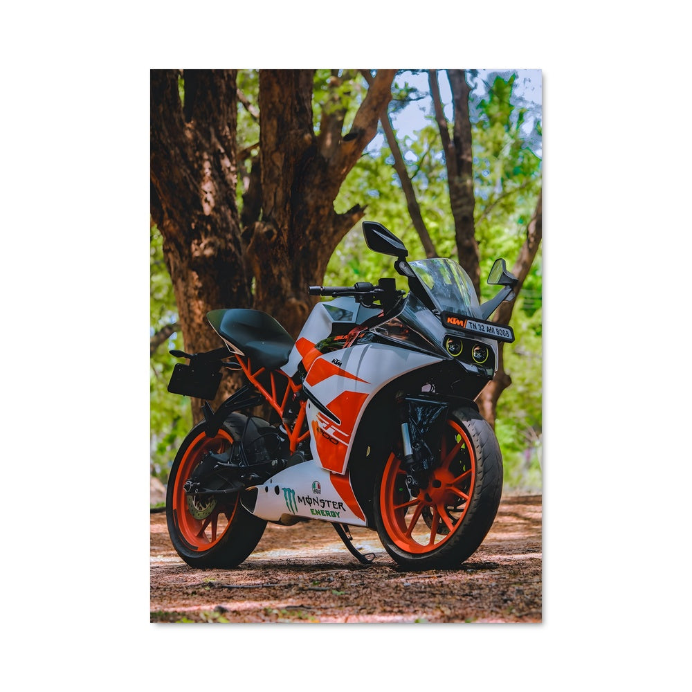 Poster KTM Frenzy