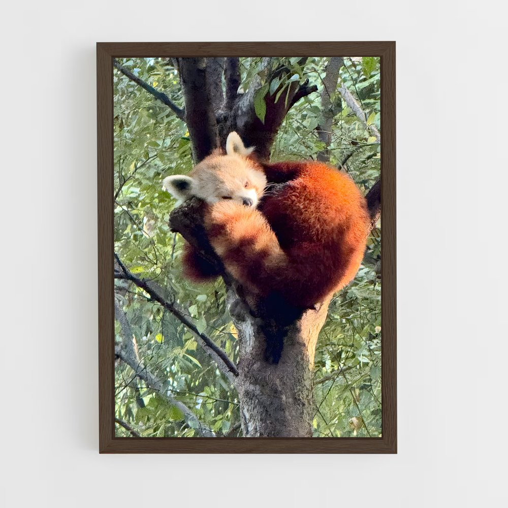 ap-red panda-2 cadre Bois foncé