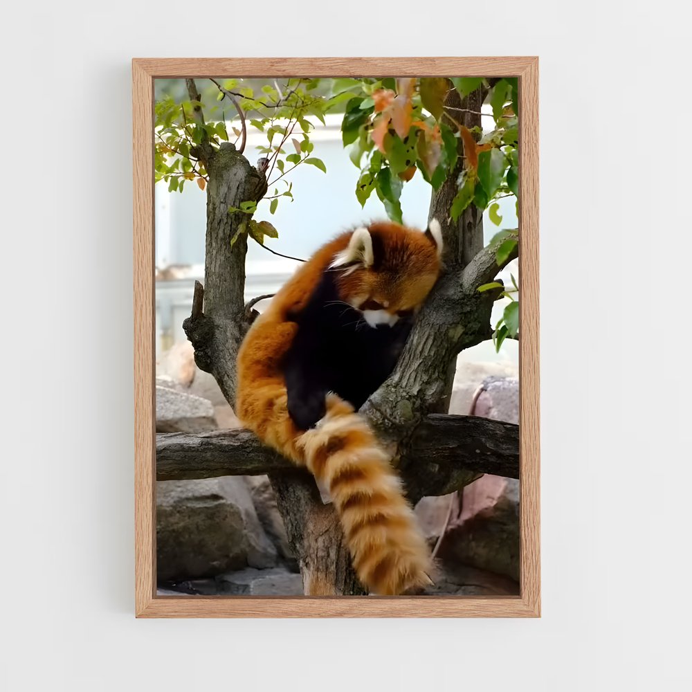 ap-red panda-7 cadre Bois clair