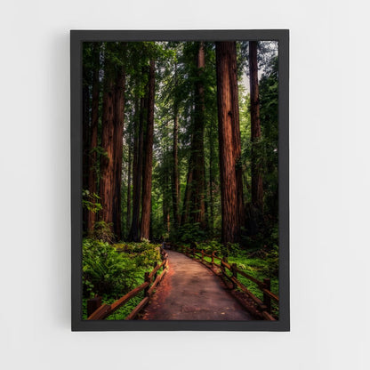 ap-redwood-2 cadre Noir