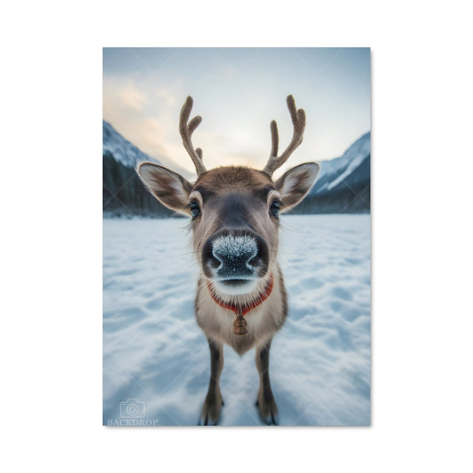 Poster Renne Éclairé