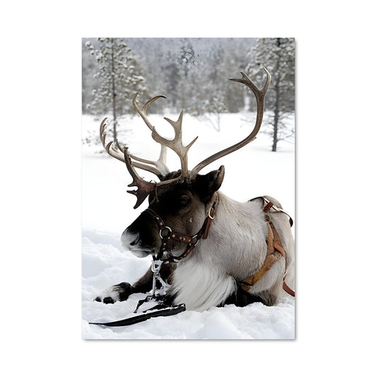 Poster Rêve d'Hiver