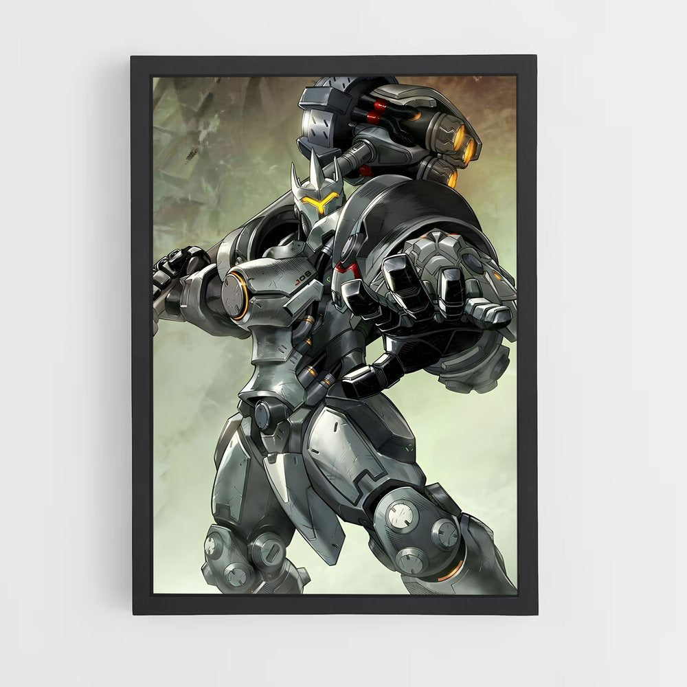 ap-reinhardt-1 cadre Noir