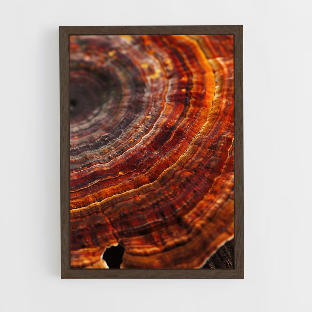 ap-reishi-2 cadre Bois foncé