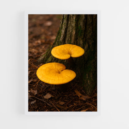 ap-reishi-4 cadre Blanc