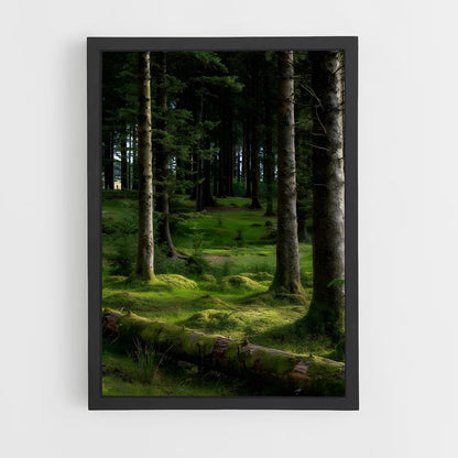 ap-rendlesham forest-2 cadre Noir