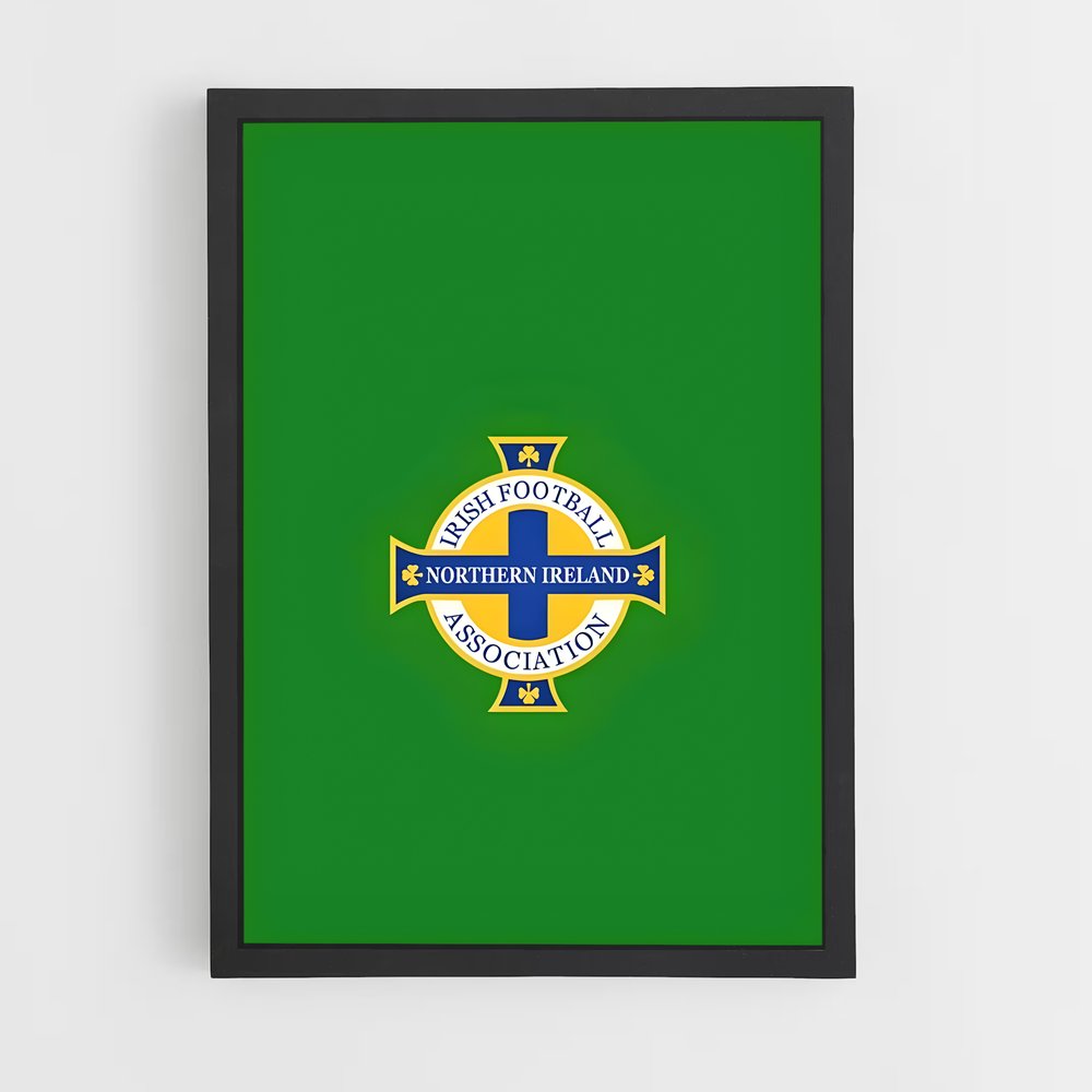 ap-republic of ireland national football team-1 cadre Noir
