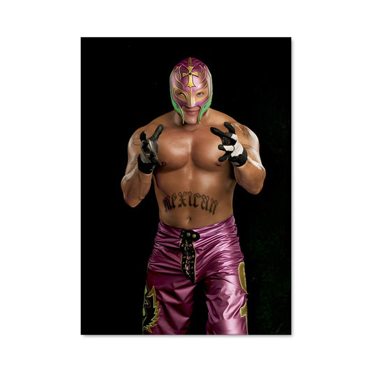 Poster Luchador Mystique
