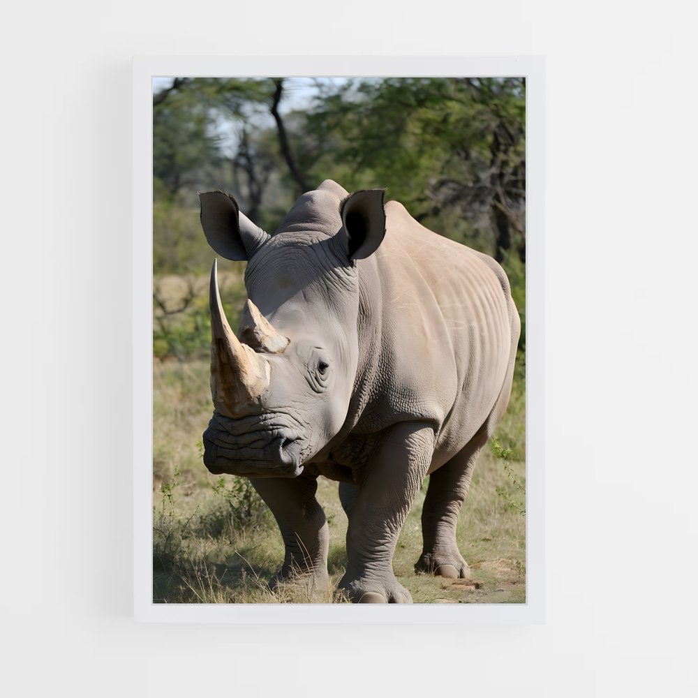 ap-rhinoceros-1 cadre Blanc