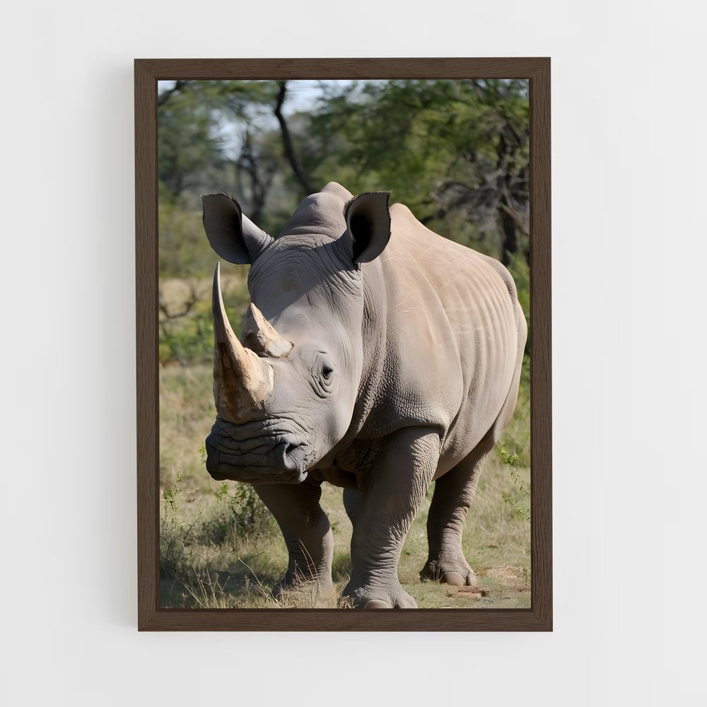 ap-rhinoceros-1 cadre Bois foncé