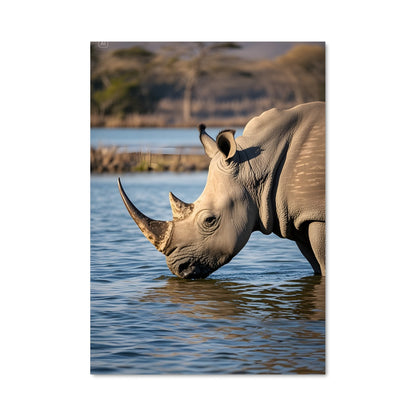 Poster Rhinocéros Aquatique