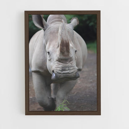 ap-rhinoceros-3 cadre Bois foncé