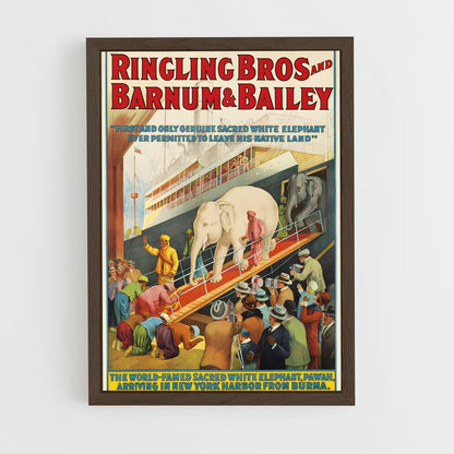 ap-ringling brothers-4 cadre Bois foncé