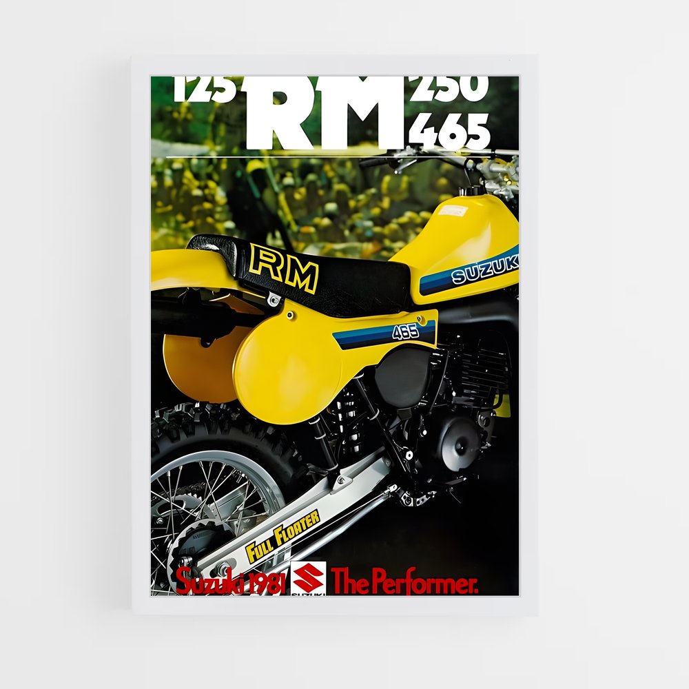 ap-rm250-2 cadre Blanc