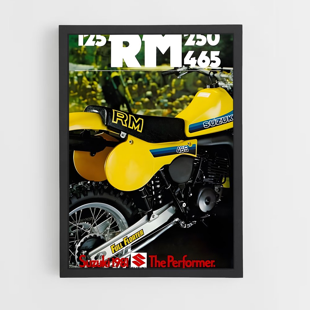 ap-rm250-2 cadre Noir