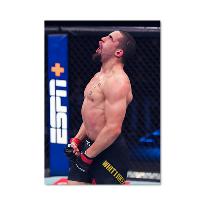 Poster Robert whittaker 62443
