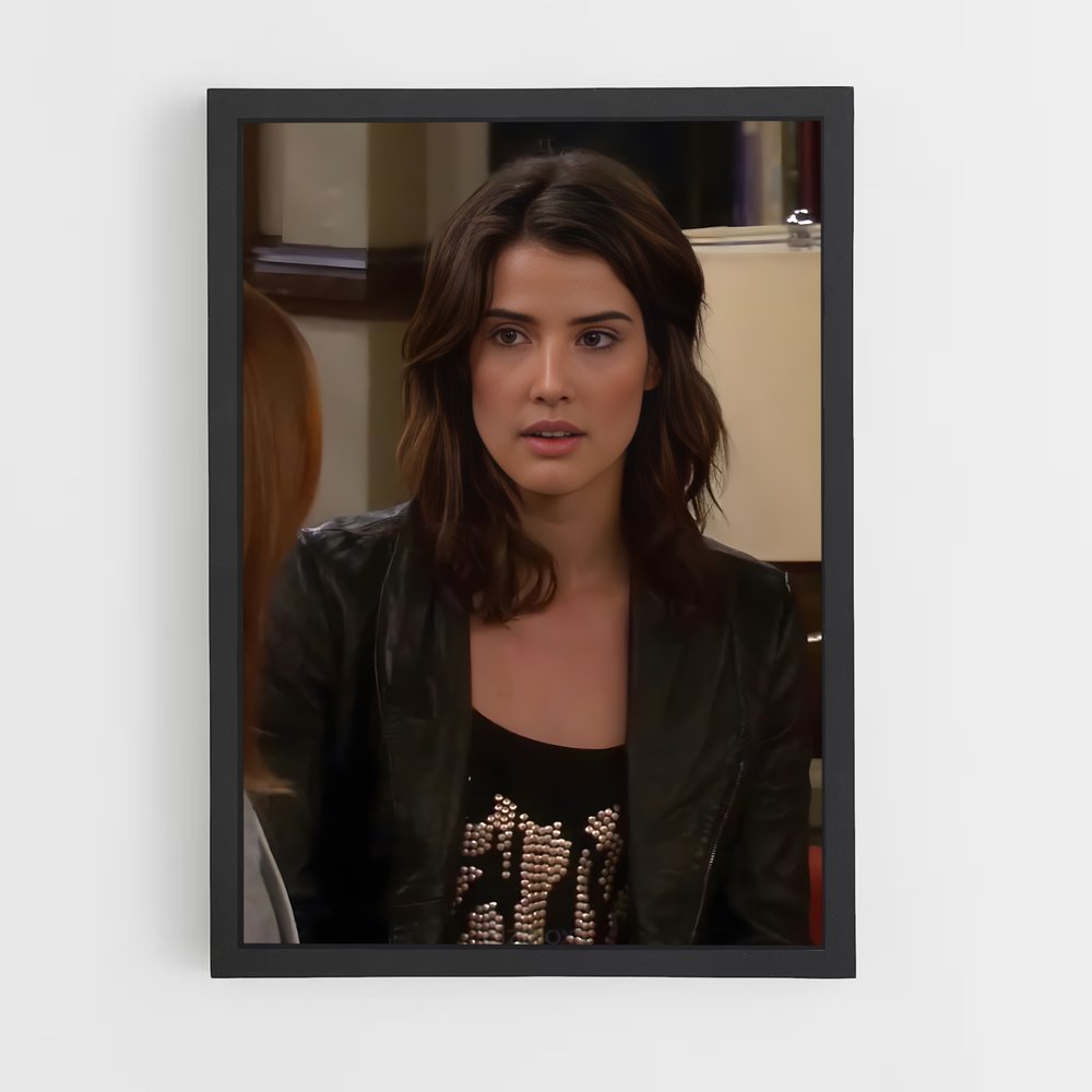 ap-robin scherbatsky-3 cadre Noir